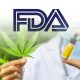 FDA Gives Approval for Human Drug Trial on Effectiveness of Marijuana-Based Medicine
