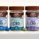 New Line of CBD Chocolate to Be Launched by Good Day Chocolate Available in 2020