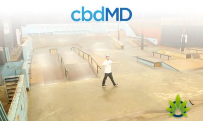 Skatepark-of-Tampa-Partners-with-cbdMD