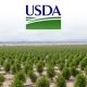 USDA Received Five Recommended Changes for the Newly Proposed Hemp Regulations