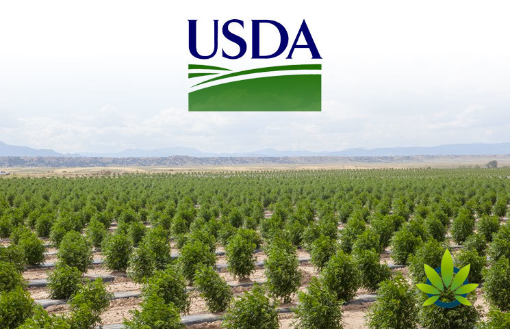 USDA Received Five Recommended Changes for the Newly Proposed Hemp Regulations