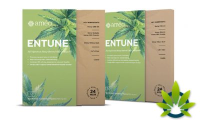 Ameo Entune Patches By Health Real Solutions: New Hemp CBD Oil Squares