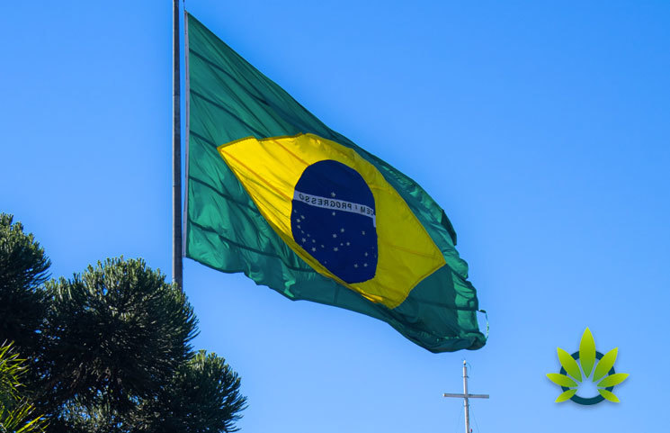Brazil Makes Headway on Medical Marijuana Product Roll-Out Despite Blocking Cannabis Growing