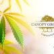 Canopy Growth Launches Its First & Free CBD Brand, the First in the US Market