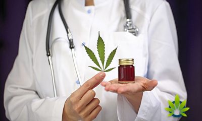 Minnesota’s Health Commissioner Authorizes Medical Marijuana Expansion
