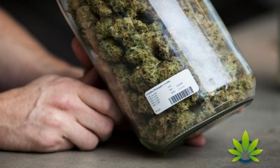 New Zealand Draft Bill Includes Marijuana Provisions