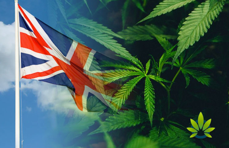 The Push for Marijuana Reform and Decriminalization in the UK is On