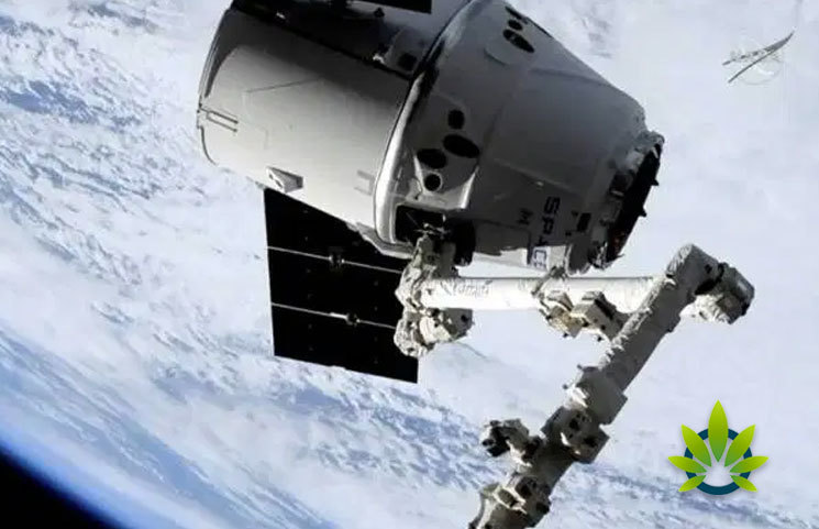 SpaceX is Taking Cannabis to the International Space Station via the Dragon Capsule