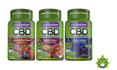 New Vitafusion CBD Gummy Vitamin Product Line Launches with Full-Spectrum Hemp Extract