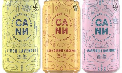 Cann Cannabis-Infused Social Elixir Drinks Closes $5 Million Investment