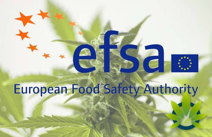 Europe's EFSA Issues Stark Safety Warning on Hemp CBD and THC Human Exposure Levels