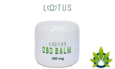 Lotus CBD-Infused Pain Relief Balms Launch with Four Different Products