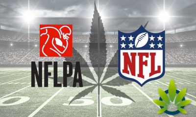 NFL and NFLPA Advance on CBD Use for Pain Relief Management Acceptance