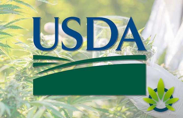 New Directory of 37 DEA-Certified Hemp Testing Labs Published by USDA