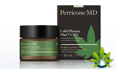 New Perricone MD Cold Plasma Plus+ CBD Advanced Serum Skin Product Launches