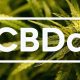 Cannabidiolic Acid (CBDA): A Beneficial Guide to this Cannabinoid Compound