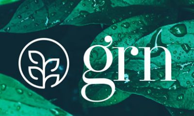grn-cbd-products-review-launch