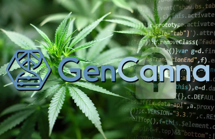 GenCanna Faces Bankruptcy and Allegations of Being a “Fraud Corporation”