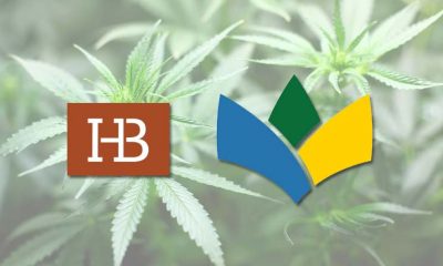Harris Bricken, UCLA CannaClub Partner to Address Legality of Cannabis Industry