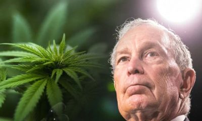 Presidential Candidate Mike Bloomberg Wants Cannabis Decriminalization in His Criminal Justice Reform Plan