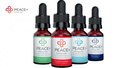Peace Plus Review: Peace+ Hemp CBD Products and Brand Guide