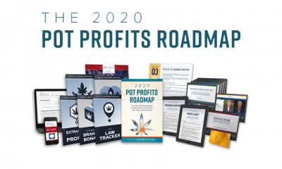 2020-pot-profits-roadmap