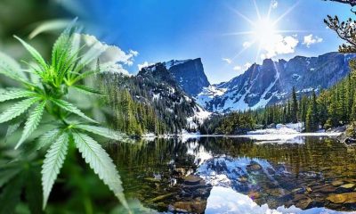 Where is Colorado at for Cannabis and Crypto Company State Banking Services?
