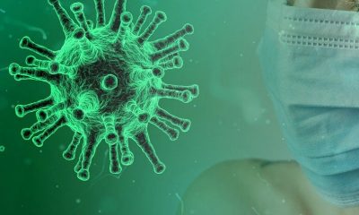 NORML Cautions Consumers of Deceiving Claim for Cannabis Killing Coronavirus