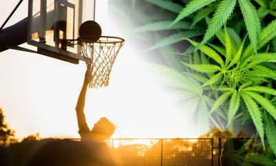 How Safely Can CBD Be Used in Sports Nutrition for Professional Athletes?