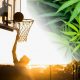 How Safely Can CBD Be Used in Sports Nutrition for Professional Athletes?
