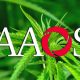 New AAOS Study Reveals Cannabis Use for Chronic Musculoskeletal Pain is Rising