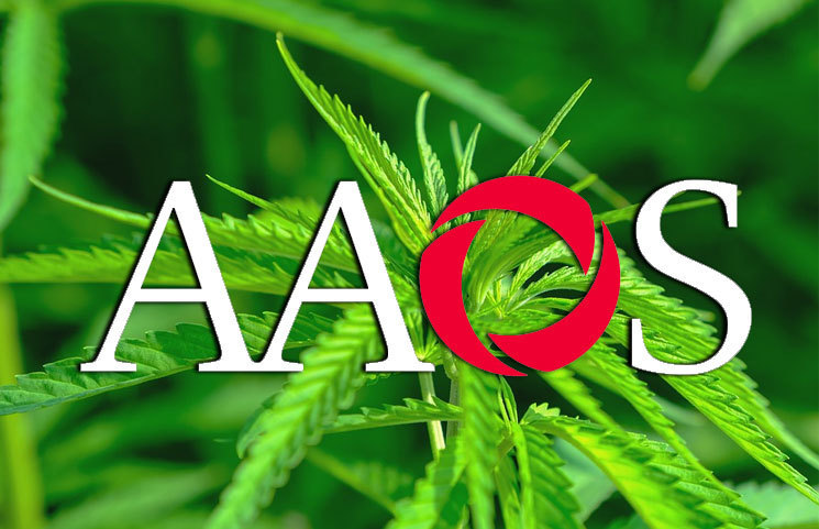 New AAOS Study Reveals Cannabis Use for Chronic Musculoskeletal Pain is Rising