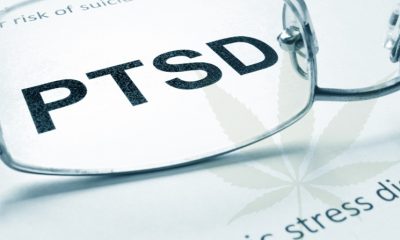 Human Clinical Trials for Cannabis-Based PTSD Therapy Research Set to Start