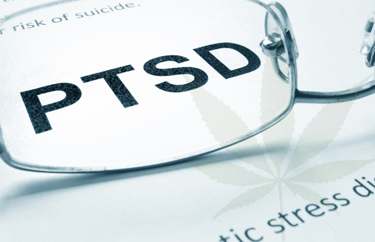 Human Clinical Trials for Cannabis-Based PTSD Therapy Research Set to Start