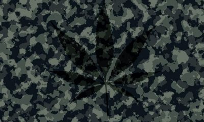 New Hemp CBD Military Service Members Memo Gets Released with Usage Updates