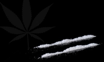 Cannabis as a Cure to Cocaine Addiction? New Study Suggests Yes