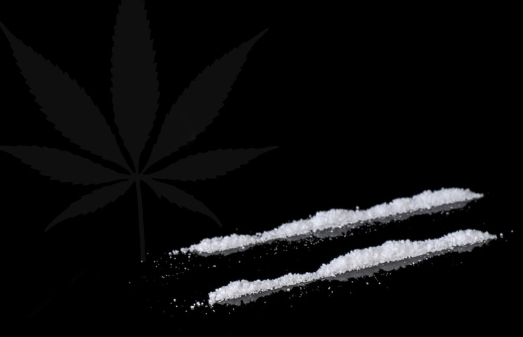 Cannabis as a Cure to Cocaine Addiction? New Study Suggests Yes