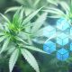 Could Blockchain Technology Make CBD Products Easier to Vet via CanCheck.org?