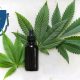 High Purity Natural Products Adds USDA-Certified Organic CBD Products