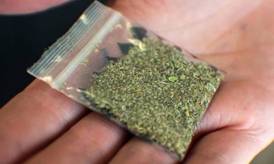 Fake Cannabinoids Synthetic Cannabis Compounds Market