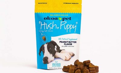 New Okoa Pet Hush-Puppy Calming Soft Chews for Dogs with CBD Launch