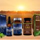 The Vitamin Shoppe Adds CBD Hemp Products to plnt and Vthrive Brands