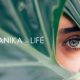 Botanika Life CBD Products Expands with Beauty Skincare and Pain Relief