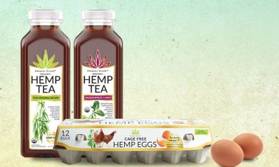 New Chiques Creek Cage-Free Hemp Eggs, Grade-A Large Brown Variety Debut