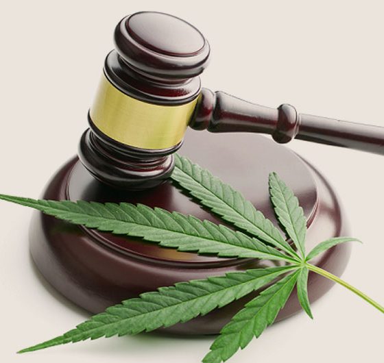 Multiple CBD Brands Receive FTC Fines for Medical Claims