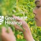 Green Leaf Healing CBD: Are GreenLeaf CBD Products Legit?
